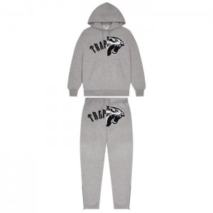 Fato de Treino Trapstar Arch Shooters Hoodie Masculino Cinzentas Portugal | CM51-308