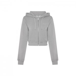 Moletom com Capuz Trapstar TS-Star Silver Satin Applique Hoodie Feminino Cinzentas Portugal | EF58-398
